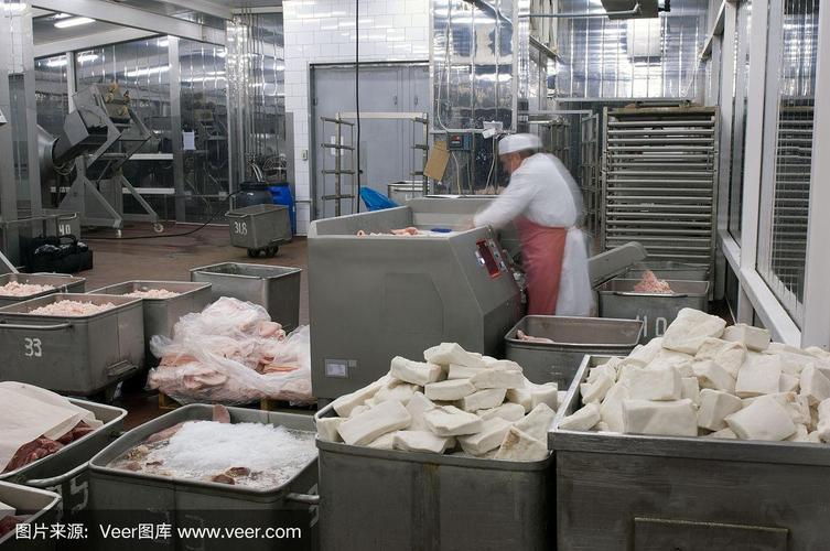 食品加工廠絞肉機(jī)生產(chǎn)設(shè)備選型與運(yùn)維指南